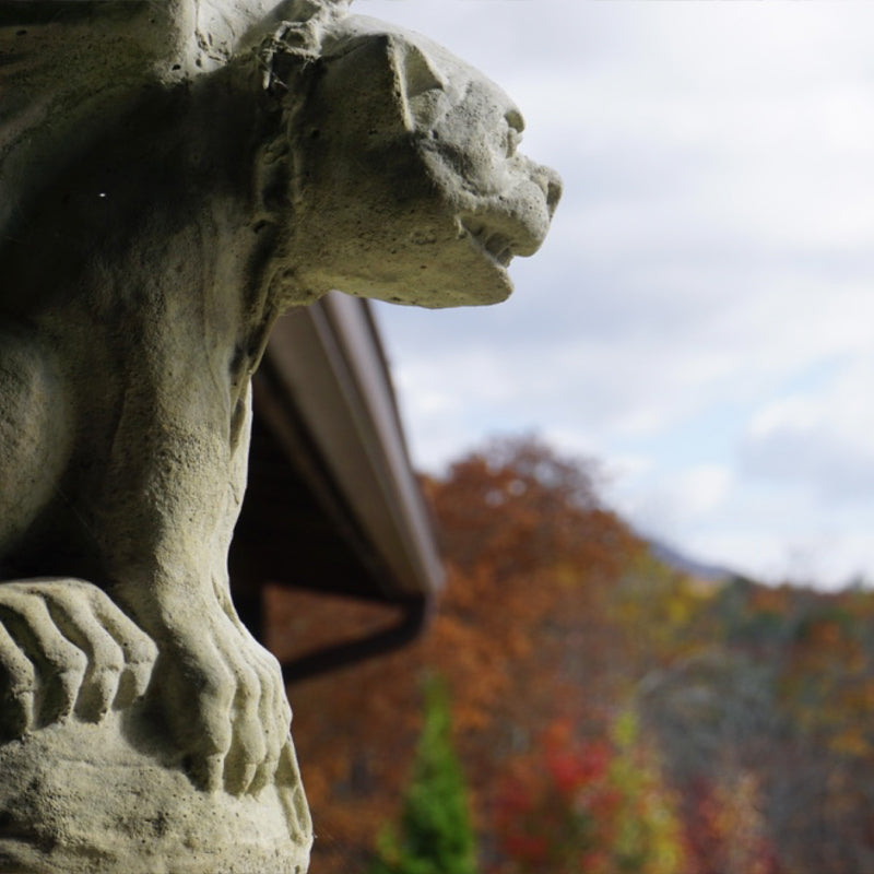 Castle of Joy romantic getaway lodging Blue Ridge Mountain outdoor weddings photo shoot location Blue Ridge Mountain Murphy, NC