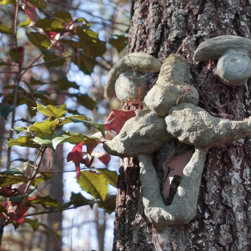 Castle of Joy romantic getaway lodging Blue Ridge Mountain outdoor weddings unique events